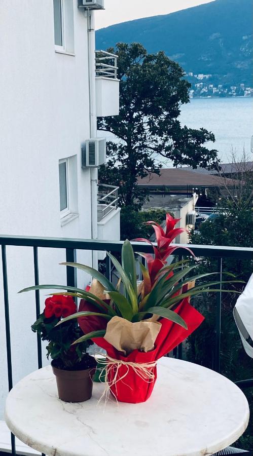 Solar Apartments Herceg Novi Ngoại thất bức ảnh